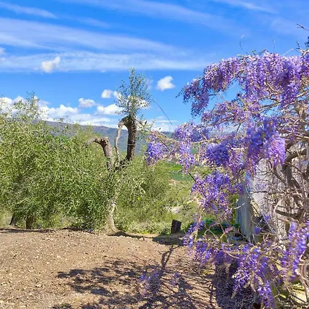 Casa Mara - Diano Serreta Holiday home