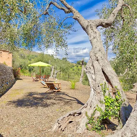 Casa Mara - Diano Serreta 別荘 ディアーノ・マリーナ