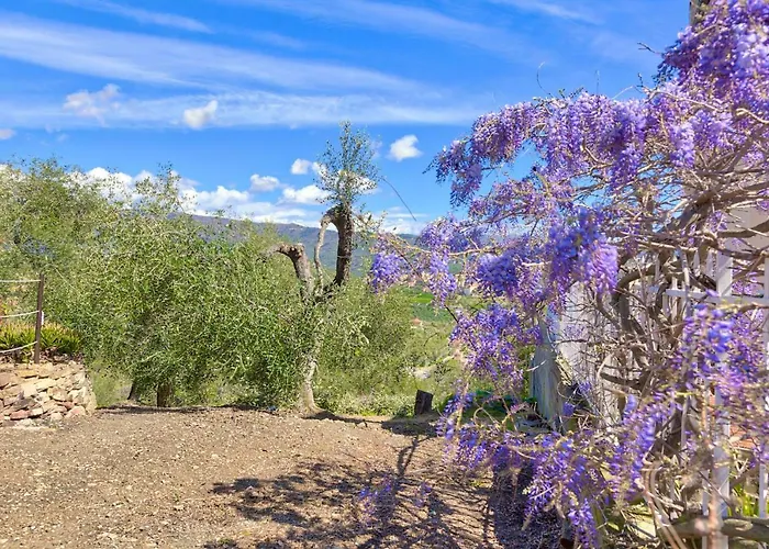 Casa Mara - Diano Serreta Nyaraló